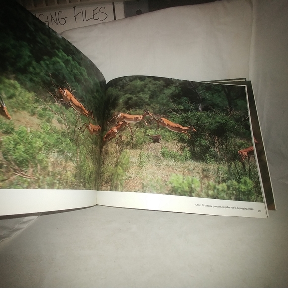 Serengeti: Natural Order on the African Plain by M - Picture 8 of 10